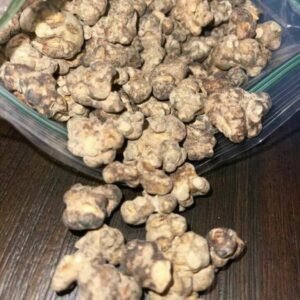 Truffle Mushroom