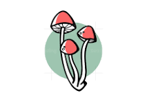 Buy Magic Mushroom Canada