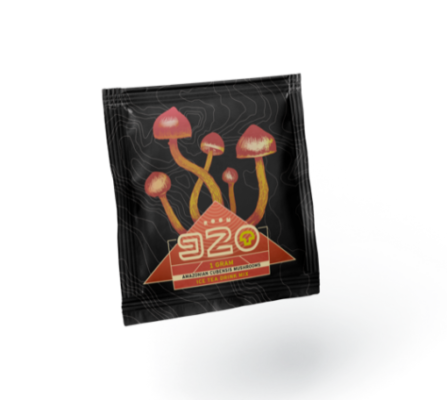 Room 920 Iced Tea – 1000mg Amazonian Cubensis